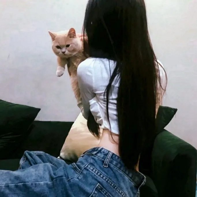 儍佬寻春