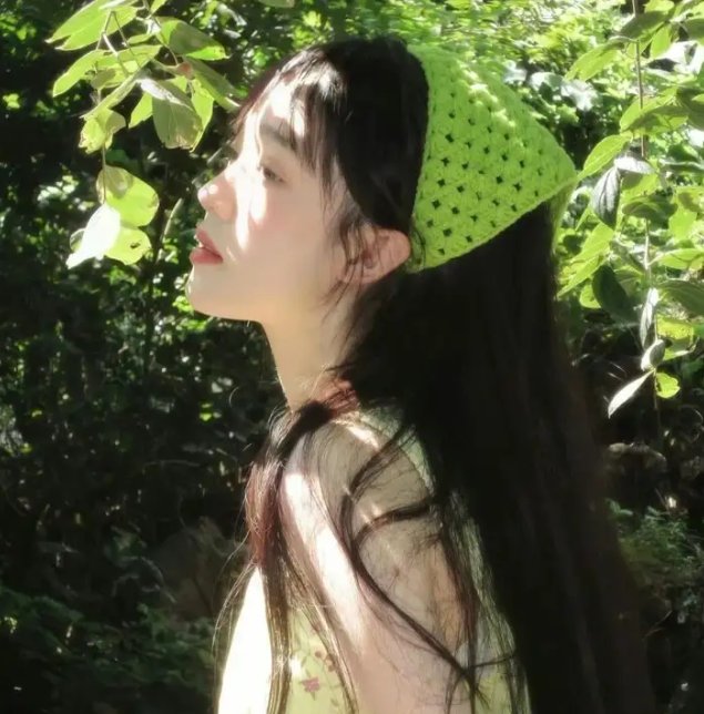 侠岚第六季