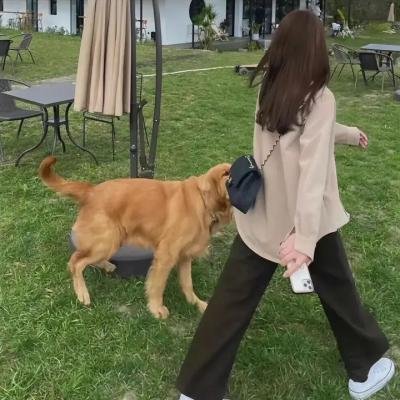 逃兵